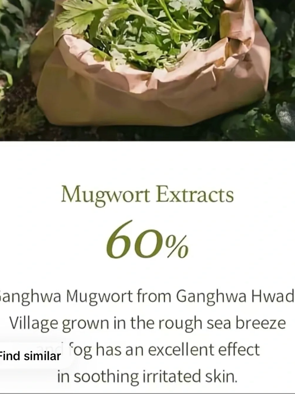 Mugwort Gel Cleanser - White